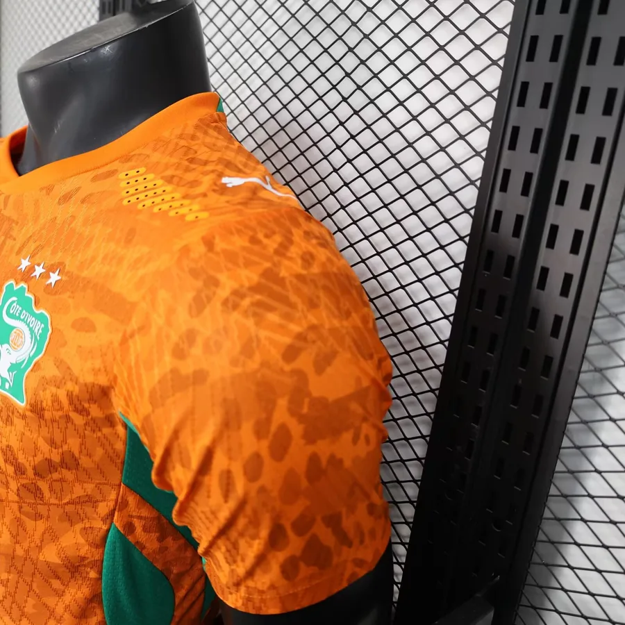 2026 Player Ivory Coast Soccer Jersey Home S-2XL — photo 7