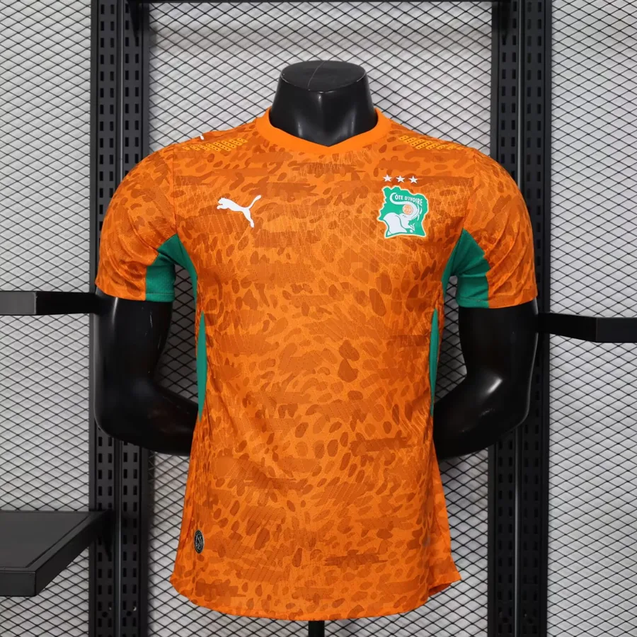2026 Player Ivory Coast Soccer Jersey Home S-2XL — photo 11