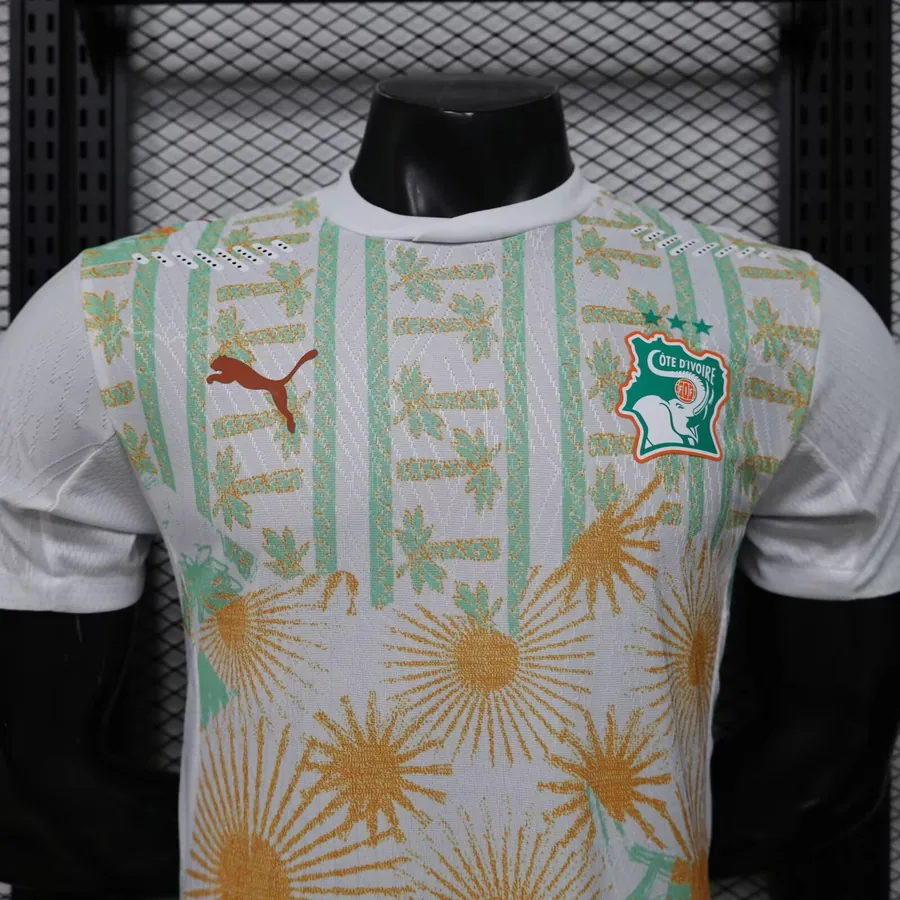2026 Player Ivory Coast Soccer Jersey Away