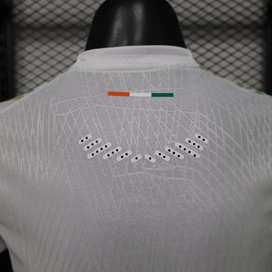 2026 Player Ivory Coast Soccer Jersey Away — photo 3