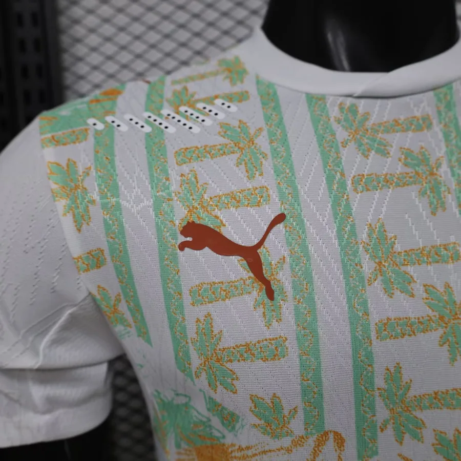 2026 Player Ivory Coast Soccer Jersey Away — photo 10