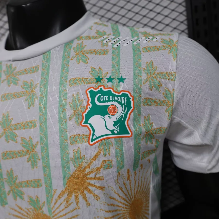 2026 Player Ivory Coast Soccer Jersey Away — photo 11