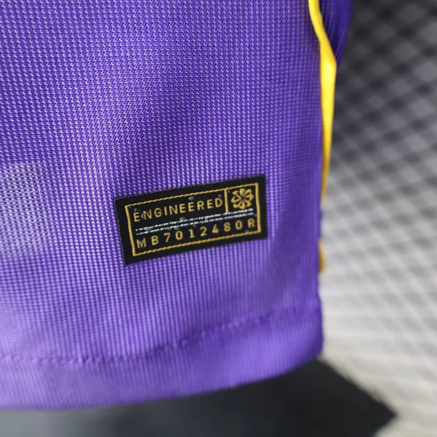 26/27 Barcelona Special Edition Soccer jersey